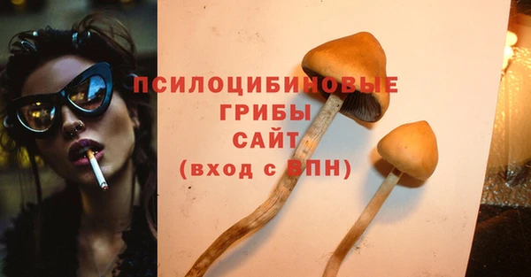 spice Алексин