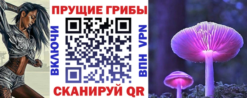 наркошоп  Княгинино  KRAKEN рабочий сайт  Галлюциногенные грибы MAGIC MUSHROOMS 